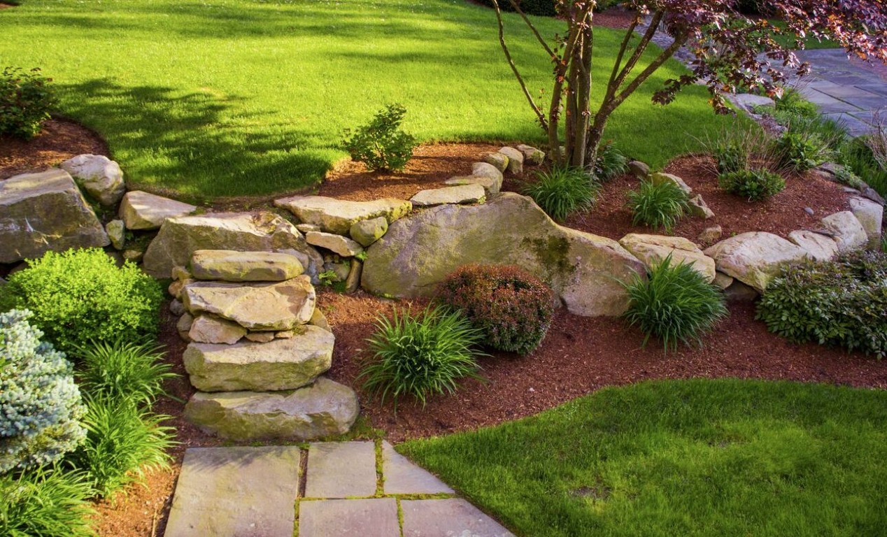 Professional lawn care and maintenance services in Santa Ana, CA