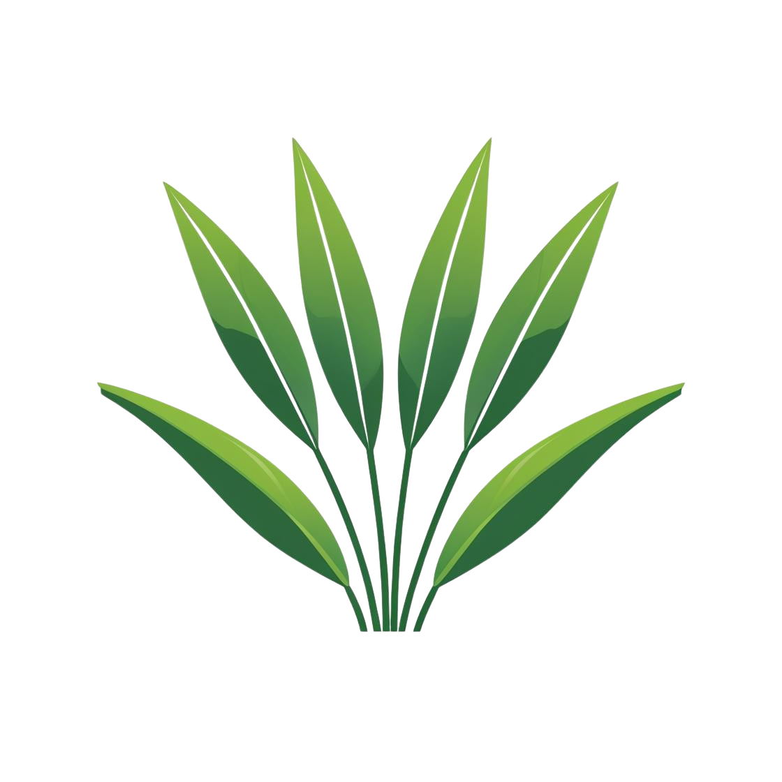 Santa Ana Landscaping - Professional Landscaping Services