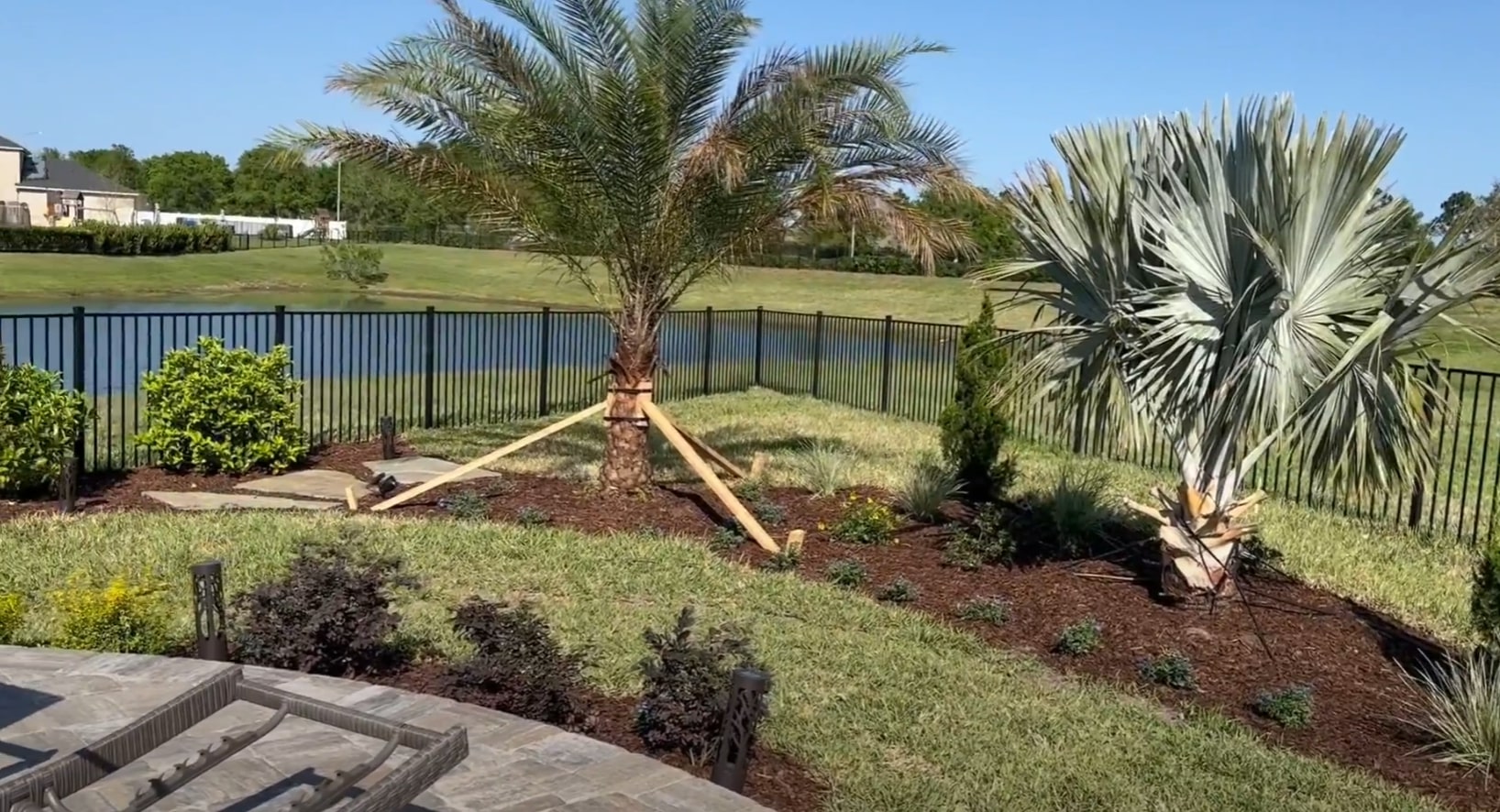 Backyard landscaping featuring palm trees, native plant installation, and natural mulch beds with wooden garden borders